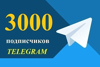 3000 подписчиков без отписок