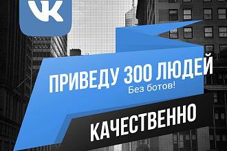300 подписчиков на паблик Вконтакте, без программ и ботов