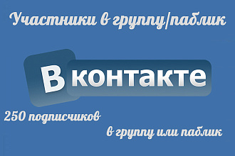 250 живых подписчиков