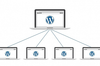 Мультисайт на wordpress. Установка и настройка