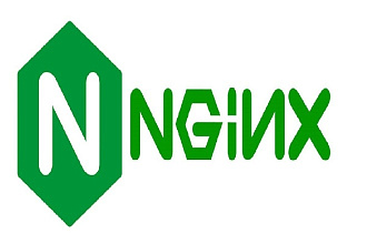 Установлю сайт на nginx