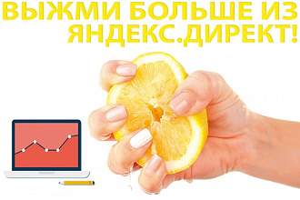 Консультация и аудит существующего Яндекс.Директ, прогноз ROI и CPC