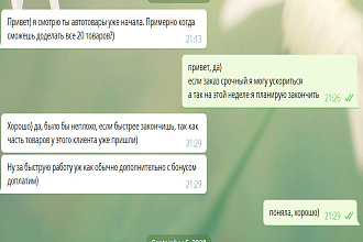 Имеется опыт в написании карточек к товарам на КазаньЭкспресс