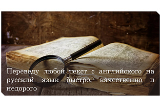 Переведу любой текст с английского на русский и обратно