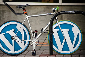 SEO аудит сайта Вордпресс