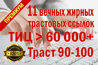 10 вечных жирных высокотрастовых ссылок размещу вручную + бонус