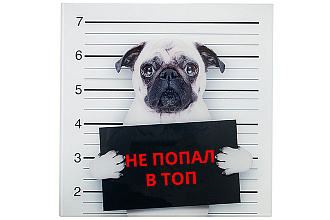 Экспресс seo-консультация - попади в топ