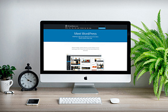 Установка системы управления сайтом WordPress +5 плагинов + бонус