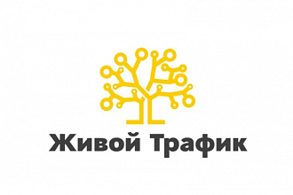 На 10 дней - Уникальных посетителей на сайт до 1000 в сутки