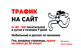Уникальные посетители от 80 до 1000 в сутки на сайт