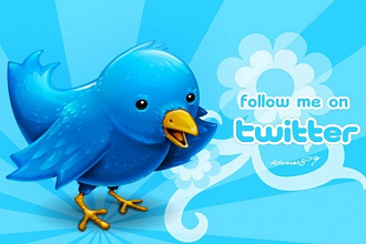 Добавлю 1700 подписчиков в ваш аккаунт Twitter