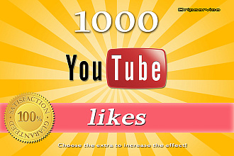 1000 likes on YouTube channel