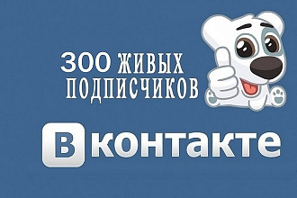 +300 подписчиков на профиль Вконтакте, без ботов и программ