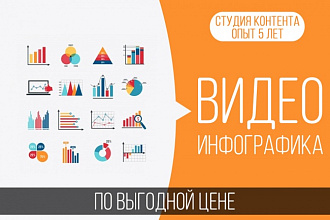 Видео инфографика по выгодной цене
