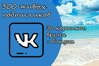 300 живых подписчиков + 300 лайков под записью Вконтакте