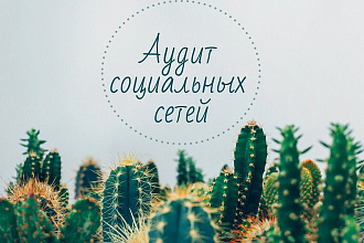 Оценка соц. сети, составление плана продвижения и контент план на мес