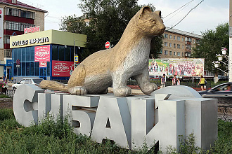 База компании Сибай
