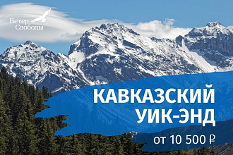 Дизайн листовки