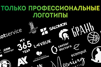 Только профессиональные логотипы