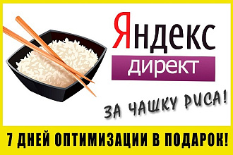 Настрою рекламу в Яндекс. Директ РСЯ за чашку риса
