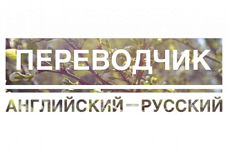 Литературный перевод с английского на русский