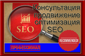 Консультация по SEO продвижению и оптимизации сайта, опыт более 13 лет