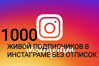 Живой Подписчиков в Инстаграмме без отписок
