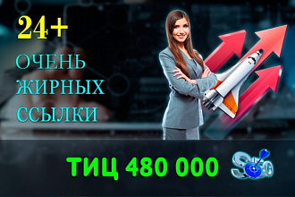 24 очень жирных ссылки на ваш сайт + бонус, общий ТИЦ выше 480 000