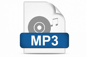 Сделаю 10 дорвеев-поисковиков mp3 для привлечения муз трафика