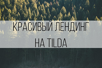 Сделаю Лендинг на Tilda