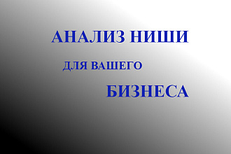 Анализ ниши для бизнеса