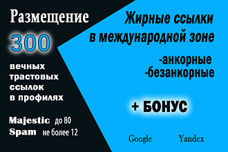 Размещение 300 вечных, трастовых, жирных ссылок в международной зоне
