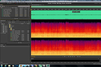 Извлеку звук с роликов в интернете