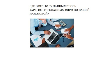 Список новых предприятий по любой налоговой