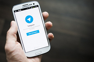 220 подписчиков на ваш канал в Telegram
