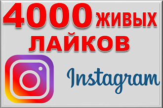 Добавлю 4000 лайков Instagram
