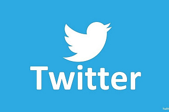 1000 подписчиков на ваш аккаунт в Twitter