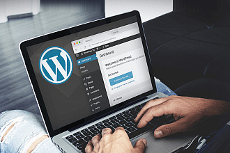 Топ-шаблоны WordPress 15 популярных в мире тем 2020 года