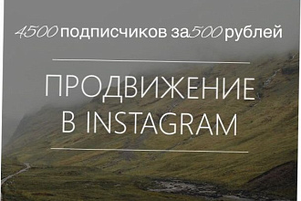4500 подписчиков в Instagram