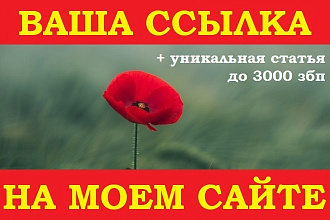 Качественная вечная ссылка в статье на моем сайте. СДЛ, ИКС-200