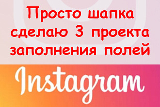 Просто шапка Инстаграм - Сделаю 3 проекта заполнения полей