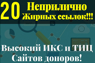 20 неприлично жирных ссылок. Высокие показатели ИКС и ТИЦ