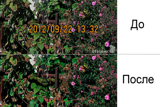 Удаление дат, надписей, водяных знаков, объектов с фото