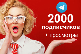 Подписчики в Telegram + просмотры