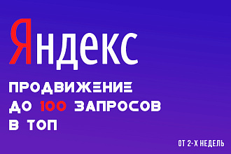 Продвижение до 100 запросов в топ 10 Яндекс - от 2-х недель