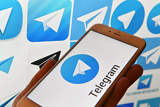 Подписчики в Telegram