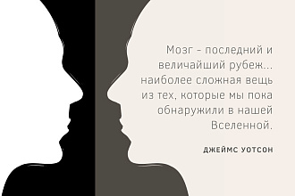 Создам стильную презентацию