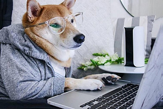 Программа на C#, С++