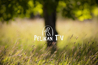 Сделаю баннер