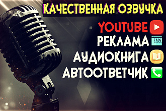 Качественная озвучка рекламы, Youtube, аудиокниги